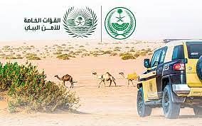 ضبط 13مخالفًا لنظام البيئة لارتكابهم مخالفات رعي في عدة مناطق بالمملكة