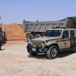 الأمن العام يطيح بـ 12 مخالفاً بحوزتهم كمية من الحطب المحلي المعروض للبيع