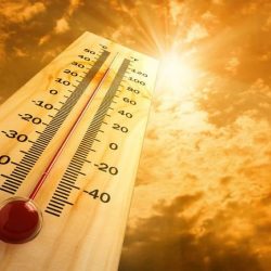 القوات الخاصة لأمن الطرق تضبط 3 مخالفين لنظام البيئة