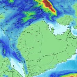 قمة العشرين تواصل أعمالها في جزيرة “بالي” الإندونيسية