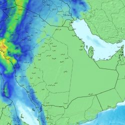 اليوم.. انطلاق مزاد اللوحات المميزة الإلكتروني عبر “أبشر”