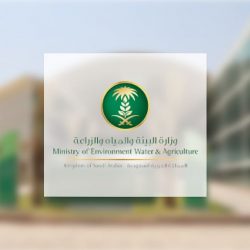 “الصناعة” تُصدر 26 رخصة تعدينية لسبتمبر 2022