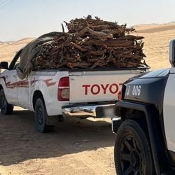 وزير الطاقة يعلن توقيع ‎معادن اتفاقية مع شركة “جالف كرايو” خلال منتدى مبادرة السعودية الخضراء