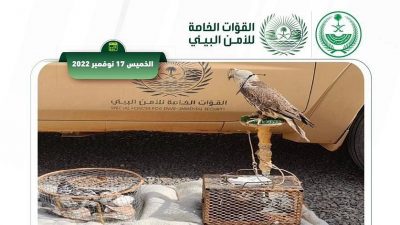 “الأمن البيئي” تضبط 6 مخالفين لدخولهم مناطق محمية والصيد بمحميتي الملك سلمان و”محمد بن سلمان”