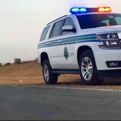 “الأرصاد”: هطول أمطار رعدية مصحوبة برياح مثيرة للأتربة والغبار وزخات من البَرَد على الشمالية والجوف