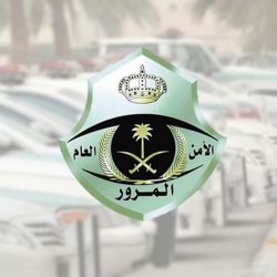 “النيابة العامة”: المنطقة الأرضية لتحرك الطائرات في المطارات تُعد محظور الدخول إليها دون تصريح