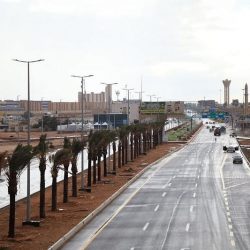 الهلال الأحمر بالشمالية يتلقى 579 بلاغاً خلال شهر نوفمبر 2022م