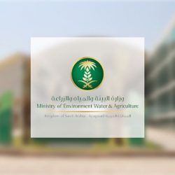 التعاون يمطر شباك العدالة برباعية.. ويقفز للوصافة “مؤقتًا”