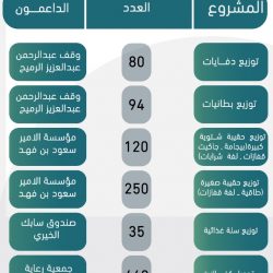 غدا .. تعليم الشمالية يقرر الدراسة عن بُعد عبر منصة مدرستي