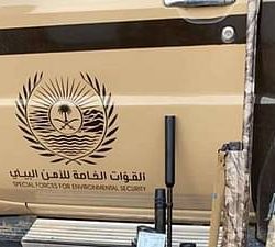 في مباراة ماراثونية.. أبها يخطف فوزًا قاتلًا من أمام الطائي