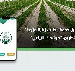 “موهبة” تعلن تأهل 160 مشروعاً للتصفيات النهائية لأولمبياد “إبداع 2023”