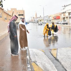 ولي العهد يعلن مشروع الدرعية كخامس المشاريع الكبرى التابعة لـ “صندوق الاستثمارات”