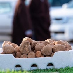 زيارة مفاجأة لمدير عام فرع وزارة البيئة لأحد أسواق الخضار بطريف