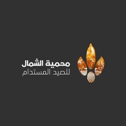 879 شكوى في ديسمبر.. “الطيران المدني” تصدر تصنيفها لمقدّمي خدمات النقل الجوي والمطارات