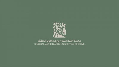 محمية الملك سلمان الملكية تجتاز أولى مراحل الانضمام للقائمة الخضراء