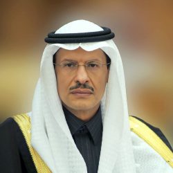 ولي العهد يعلن تأسيس المكتب الإستراتيجي لتطوير الحدود الشمالية.. يرفع مستوى التنمية ويعزّز جودة الحياة