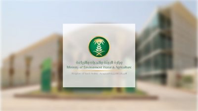 “البيئة”: القضاء على التصحر يحقق جودة حياة أفضل وغطاءً نباتيًّا مستدامًا