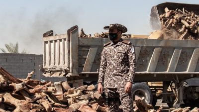 ضبط مخالفين لنظام البيئة لقطعهما الأشجار وتخزين الحطب المحلي وتحويله إلى فحم