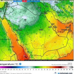 بالصور لليوم الثالث .. استمرار فعاليات مهرجان الكمأ بطريف