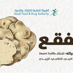 شرطة الشمالية بالتعاون مع شرطة الرياض تلقي القبض على (3) مواطنين بعد السطو على محل تجاري