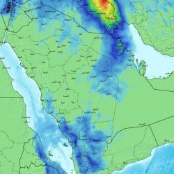 اليوم.. طرح المزاد الإلكتروني للوحات المميزة عبر “أبشر”