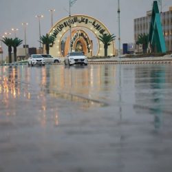 “المرور”: 9 متطلبات لتحقيق القيادة الآمنة على الطريق وتعزيز السلامة