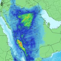 اليوم.. طرح المزاد الإلكتروني للوحات المميزة عبر “أبشر”