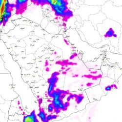 124 ترخيصاً جديداً أصدرتها وزارة الصناعة خلال يناير الماضي