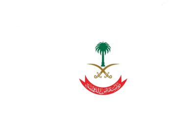 أمن الدولة: ضبط تشكيل عصابي امتهن الاحتيال على أفراد وكيانات وهيئات