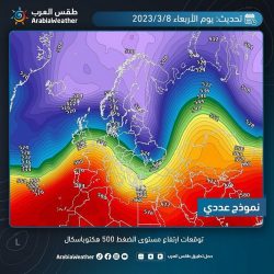 مع قرب حلول رمضان.. “التجارة” تنفذ جولات استباقية على منافذ البيع