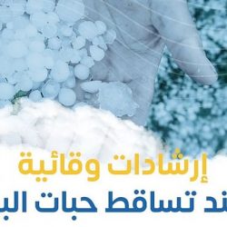 تفاصيل المناطق المشمولة بالأمطار في المملكة خلال الأيام القادمة