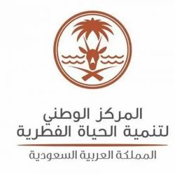 “الدفاع المدني” يدعو إلى أخذ الحيطة من استمرار هطول الأمطار الرعدية على معظم مناطق المملكة