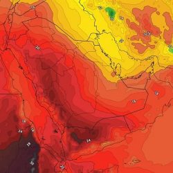 أمن الدولة: ضبط تشكيل عصابي امتهن الاحتيال على أفراد وكيانات وهيئات