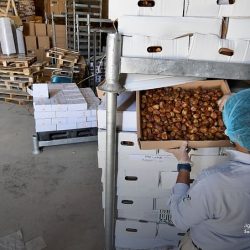 أمطار غزيرة وبرد وفرص للسيول.. أسبوع من تقلبات الأجواء المحتملة بالمملكة