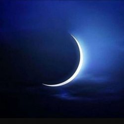 ضبط 61 مخالفاً لارتكابهم مخالفات رعي في عدة محميات