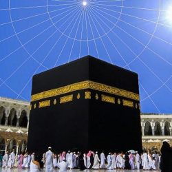 إعلان نتائج القبول المبدئي للمتقدمات لـ”مكافحة المخدرات”