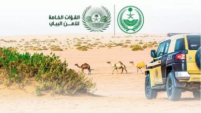 ضبط 27 مخالفاً لارتكابهم مخالفات رعي في عدد من المحميات