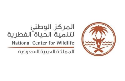 إطلاق عدد من ظباء الريم في متنزه ثادق الوطني