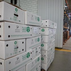 “الأرصاد”: طقس مستقر وسماء صحوة إلى غائمة جزئيًّا على معظم مناطق المملكة