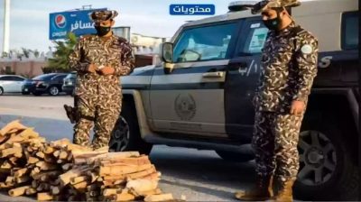 ضبط 11 مخالفًا لنظام البيئة لنقلهم وبيعهم وتخزينهم حطبًا وفحمًا محليين