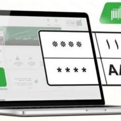 بالصور .. “الوردة” يوجه بزراعة الجزيرة الوسطية في طريق الملك عبدالعزيز وسفلتة شارع عمر بن الخطاب