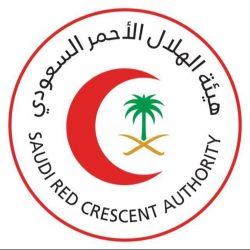 غدًا.. المرور السعودي يطرح مزادَ اللوحات المميّزة عبر “أبشر”