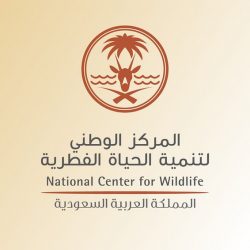 شركة التعدين العربية السعودية (معادن) توفر 50 وظيفة لحملة الثانوية فأعلي بعدة مناطق بينهم طريف