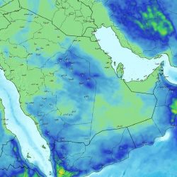 برعاية الملك.. ولي العهد يحضر المباراة النهائية على كأس خادم الحرمين بين فريقي الهلال والوحدة