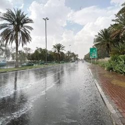 ارتكاب جريمة الاحتيال المالي وخيانة الأمانة عبر تشكيل عصابي.. يشدّد العقوبة
