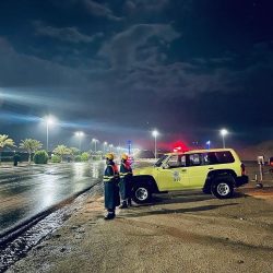 “العدل”: 5 خطوات للتحقق من عقد الزواج عبر بوابة ناجز.. تَعرف عليها