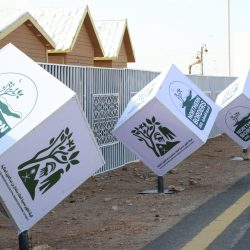 مُخبأة في “قطع غيار”.. جمرك الحديثة يُحبط تهريب أكثر من 460 ألف حبة كبتاجون