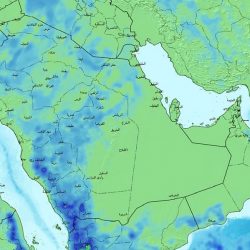 اليوم.. طرح المزاد الإلكتروني للوحات المُميزة عبر “أبشر”