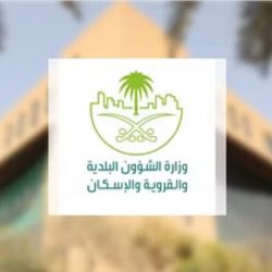 “الجمارك” تدعو وسطاء الشحن إلى الاستفادة من الخدمات الجمركية المقدمة في المنافذ الجوية