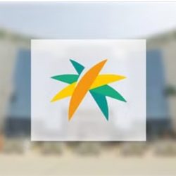 الإحصاء: 206 آلاف سعودي يعملون في قطاعات السياحة 41% منهم من النساء